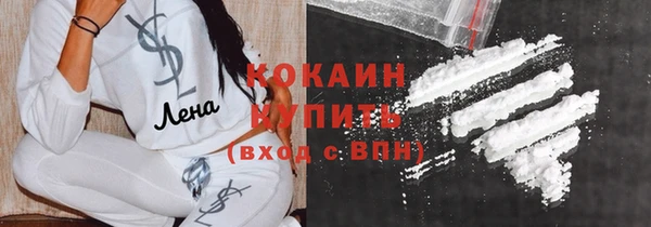 прущий лед Алзамай