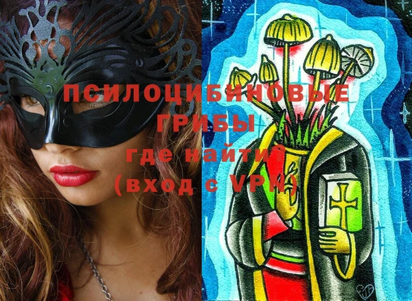 стафф Аркадак