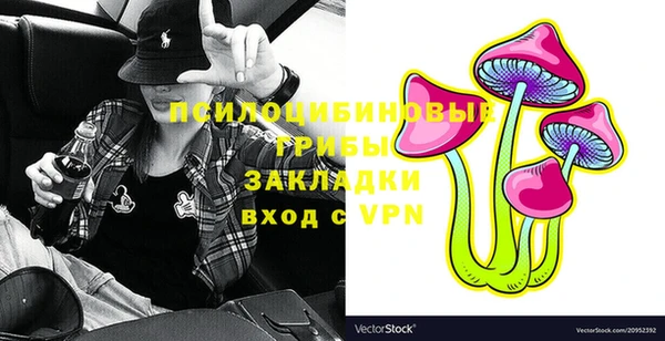 прущая мука Арсеньев