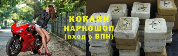 прущий лед Алзамай