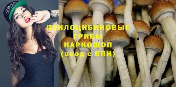 прущий лед Алзамай