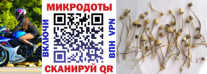 Галлюциногенные грибы MAGIC MUSHROOMS  Чернушка 
