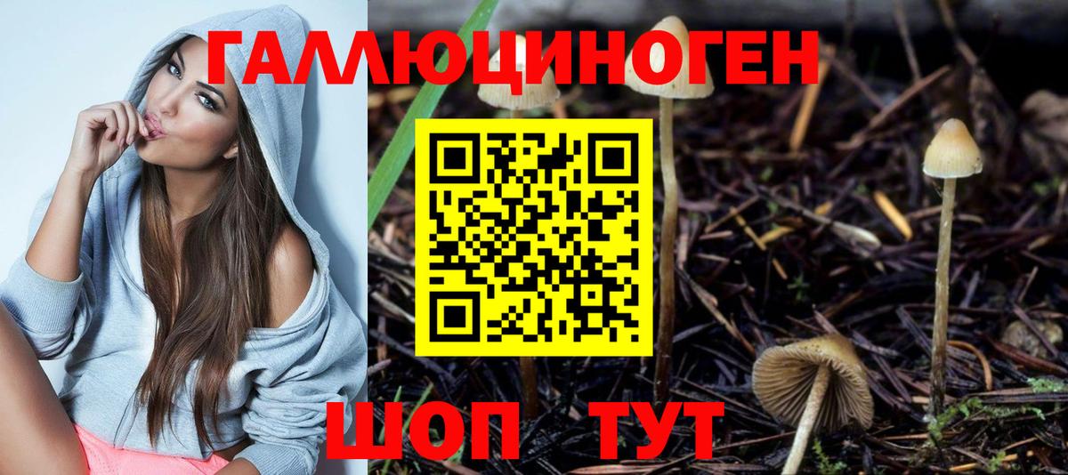 Галлюциногенные грибы мицелий  Вход с VPN  купить  цена  Чернушка 