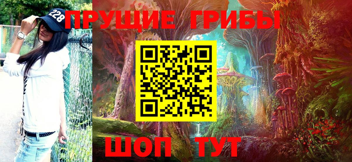 Галлюциногенные грибы MAGIC MUSHROOMS Чернушка