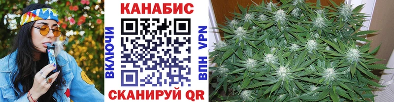 Шишки марихуана марихуана  Чернушка 
